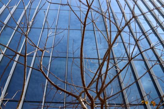 Tel Aviv Israel 03 28 2024. Buildings and structures in Tel Aviv through the foliage of tall trees. photo