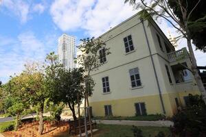 Tel Aviv Israel 03 28 2024. Buildings and structures in Tel Aviv through the foliage of tall trees. photo