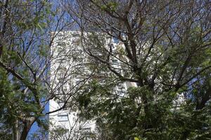 Tel Aviv Israel 03 28 2024. Buildings and structures in Tel Aviv through the foliage of tall trees. photo