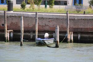 A pier on the shore for mooring boats and yachts. photo