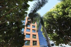 Tel Aviv Israel 03 28 2024. Buildings and structures in Tel Aviv through the foliage of tall trees. photo