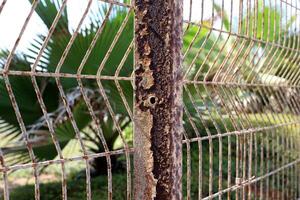 Texture of old and rusty iron. Rusty metal products. photo