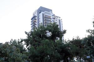 Tel Aviv Israel 03 28 2024. Buildings and structures in Tel Aviv through the foliage of tall trees. photo