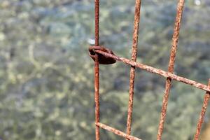 Texture of old and rusty iron. Rusty metal products. photo