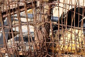 Texture of old and rusty iron. Rusty metal products. photo