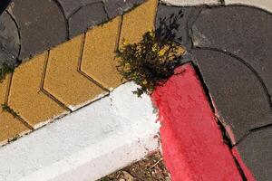 Green plants and flowers grow on the roadway and sidewalk. photo