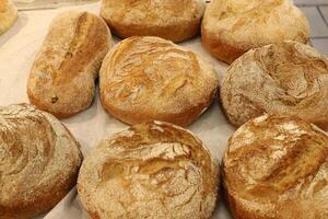 Bread and bakery products are sold in a bakery in Israel. photo