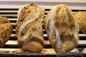 Bread and bakery products are sold in a bakery in Israel. photo