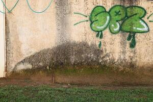 Tel Aviv Israel March 20, 2024. Colorful graffiti on the walls of houses in the city of Tel Aviv. photo