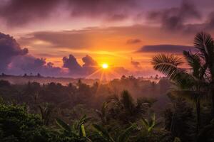 photo sunrise over bali jungle