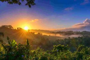 photo sunrise over bali jungle