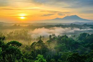 photo sunrise over bali jungle