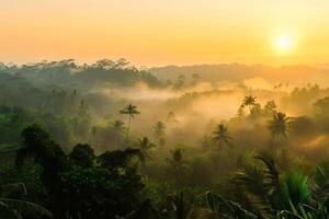 photo sunrise over bali jungle