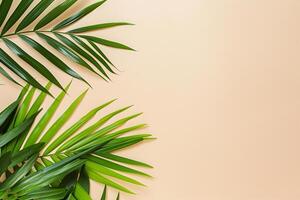 photo fresh palm leaves on beige background