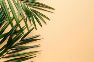 photo fresh palm leaves on beige background