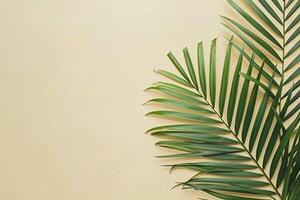 photo fresh palm leaves on beige background