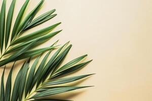 photo fresh palm leaves on beige background