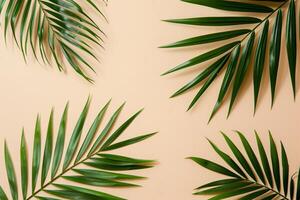 photo fresh palm leaves on beige background