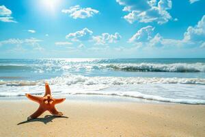 photo starfish on summer sunny beach at ocean