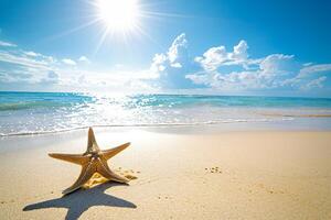 photo starfish on summer sunny beach at ocean