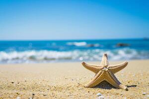 photo starfish on summer sunny beach at ocean