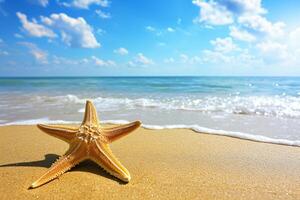 photo starfish on summer sunny beach at ocean