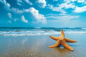 photo starfish on summer sunny beach at ocean