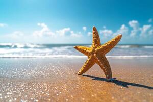 photo starfish on summer sunny beach at ocean