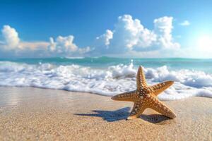 photo starfish on summer sunny beach at ocean