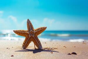 photo starfish on summer sunny beach at ocean