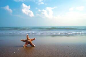 photo starfish on summer sunny beach at ocean