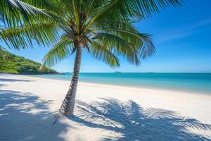 photo beautiful tropical beach and sea