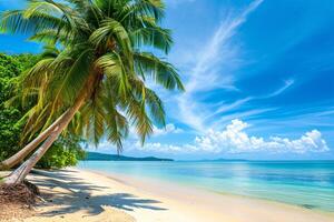 photo beautiful tropical beach and sea