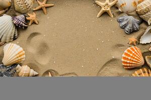 photo copy space sand with shells and starfish