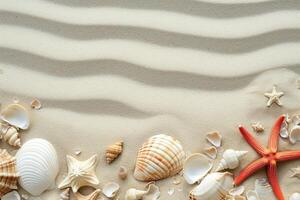 photo copy space sand with shells and starfish