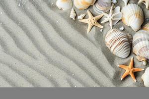 photo copy space sand with shells and starfish