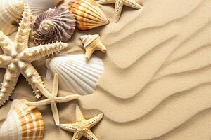 photo copy space sand with shells and starfish