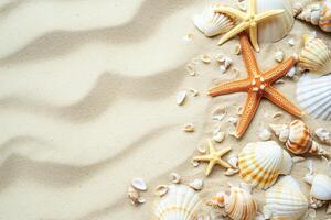 photo copy space sand with shells and starfish