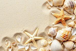 photo copy space sand with shells and starfish