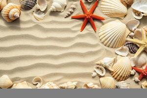 photo copy space sand with shells and starfish