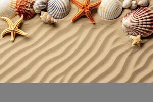 photo copy space sand with shells and starfish