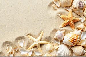 photo copy space sand with shells and starfish