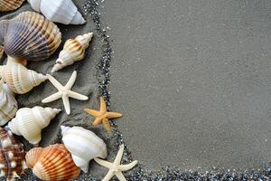 foto Copiar espacio arena con conchas y estrella de mar