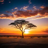 photo mesmerizing view of the silhouette