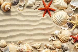 photo copy space sand with shells and starfish