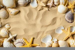 photo copy space sand with shells and starfish