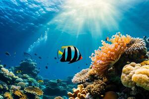 Photo coral reef with fish blue sea underwater scene