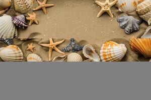 photo copy space sand with shells and starfish