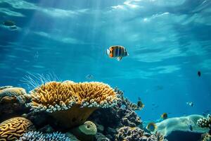 Photo coral reef with fish blue sea underwater scene