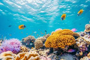 Photo coral reef with fish blue sea underwater scene